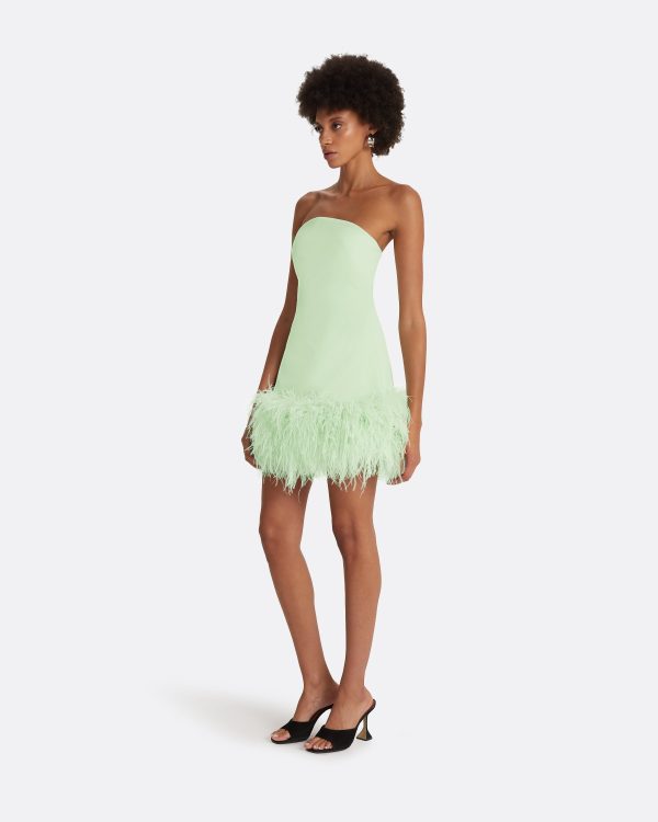 Rowan Aloe Feather-Trimmed Short Dress - Image 4