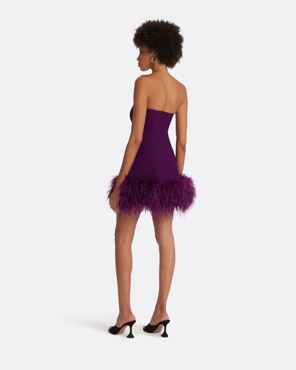 Rowan Currant Feather-Trimmed Short Dress - Image 2