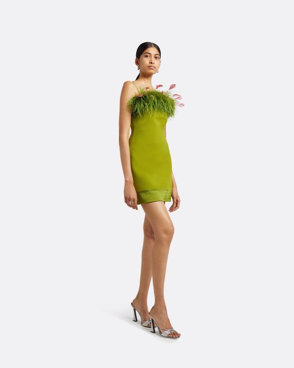 Molly Woodbine Feather-Trimmed Short Dress - Image 4