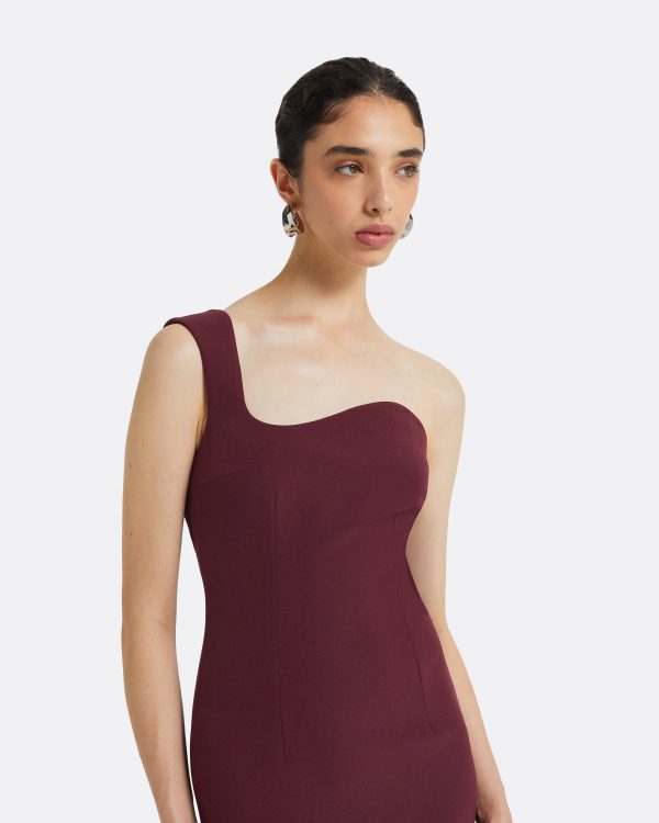 Banu Wine Long Dress - Image 3