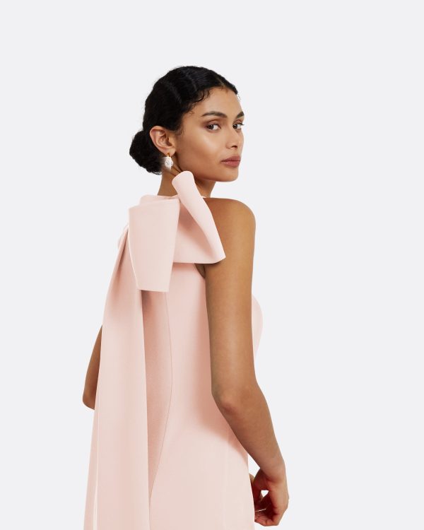 Celestia Pale Pink Long Dress - Image 3