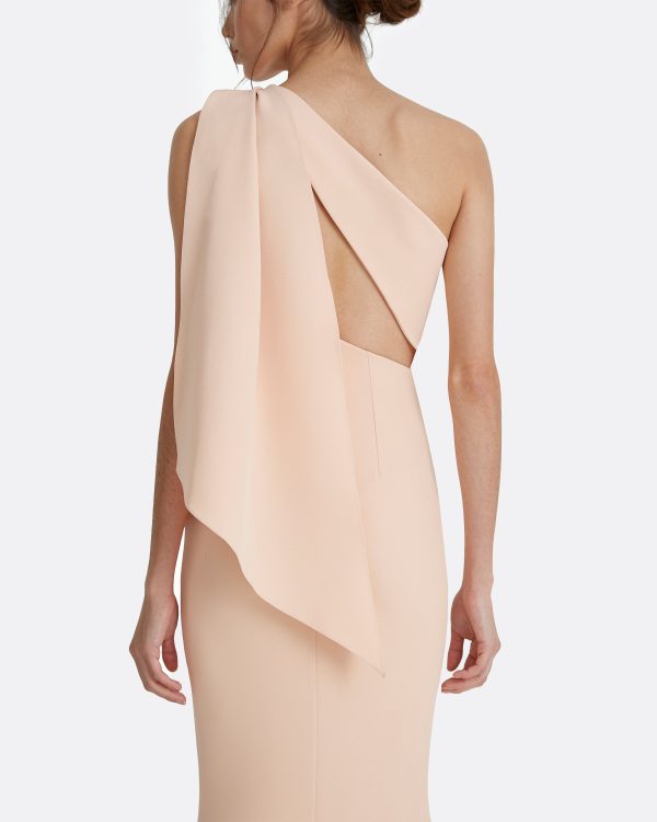 Elvie Peach Long Dress - Image 3