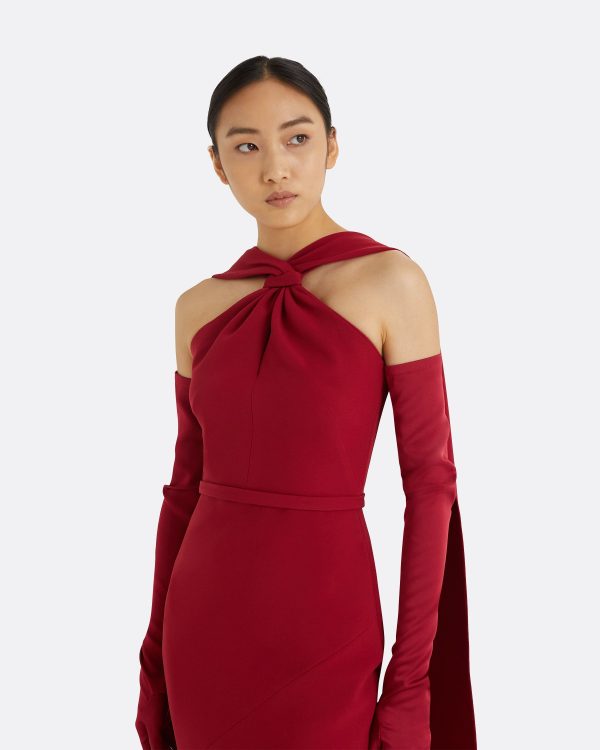 Lilien Rhubarb Long Dress - Image 3