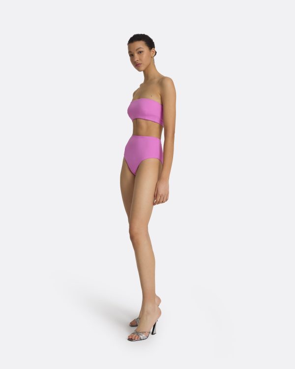 Mayrana Lupine Bikini Top - Image 5