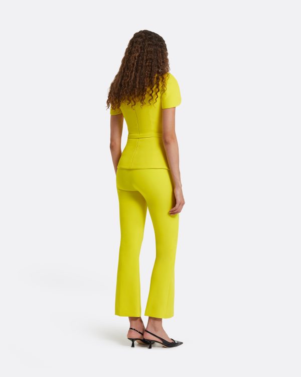 Amelie Chartreuse Top - Image 2